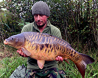 A carp caught from the Top Lake