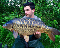 A carp caught from the Top Lake