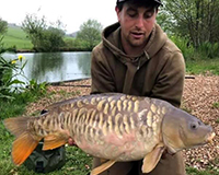 A carp caught from the Top Lake