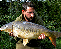 A carp caught from the Top Lake