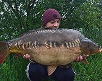 A carp caught from the Top Lake