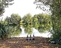 Rods out waiting for a bite.