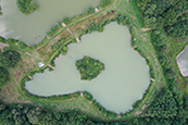 Aerial photograph of Bottom Lake