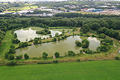 Aerial photograph of whole fishery