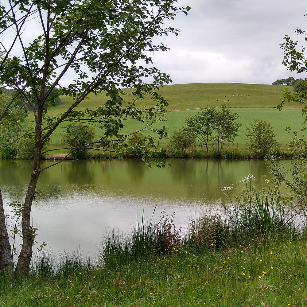 Top Lake