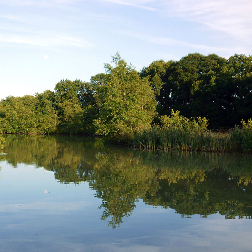 Bottom Lake