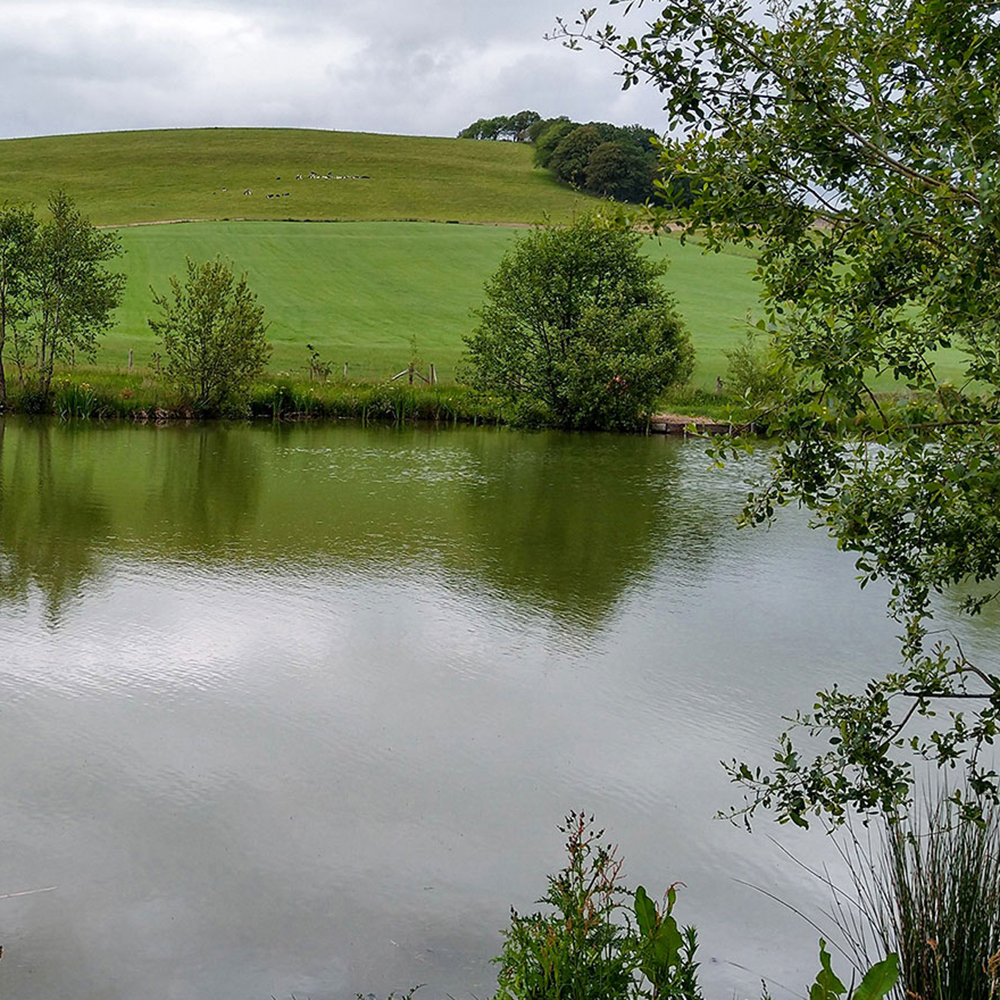 Top Lake