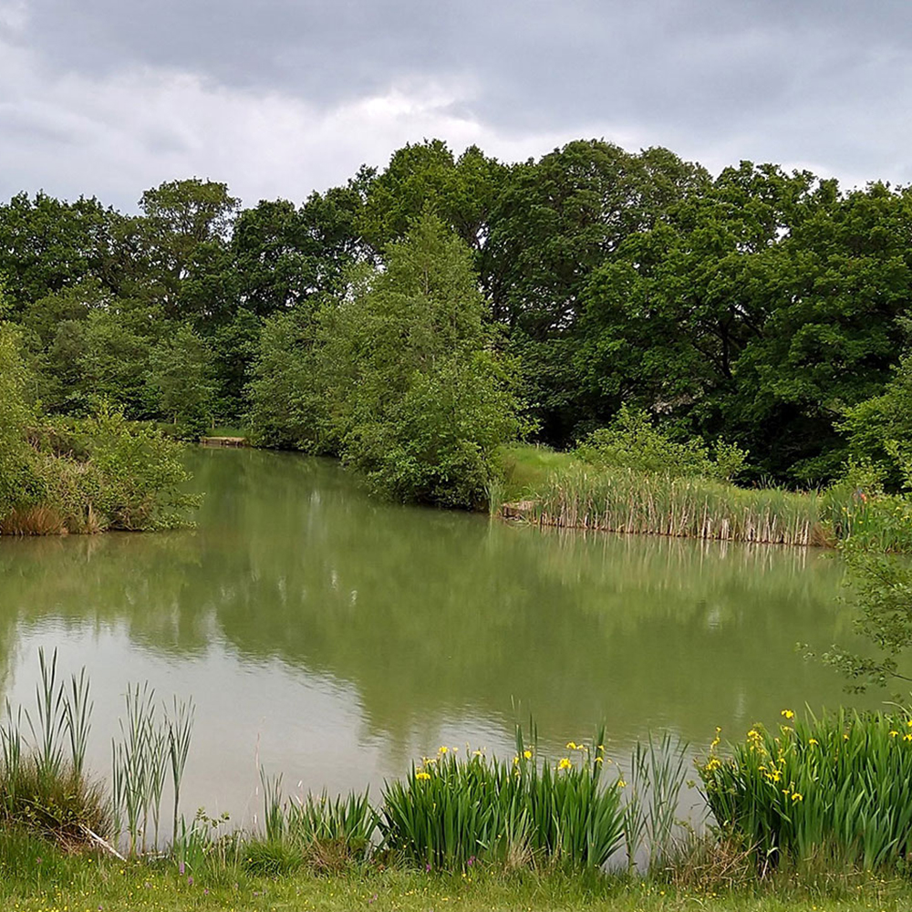 Bottom Lake